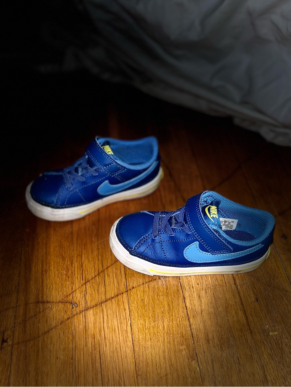 Nike Kids Blue and Light Blue Hook-and-Loop Sneakers